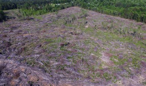Photo of UNDER CONTRACT!  42 Acres of Residential and Recreational Land For Sale in Charlotte County VA!
