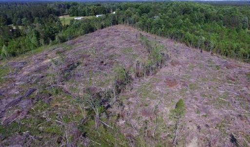 Photo of UNDER CONTRACT!  42 Acres of Residential and Recreational Land For Sale in Charlotte County VA!