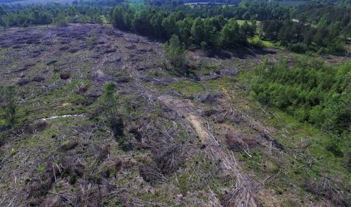 Photo of UNDER CONTRACT!  42 Acres of Residential and Recreational Land For Sale in Charlotte County VA!