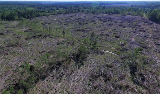Photo of UNDER CONTRACT!  42 Acres of Residential and Recreational Land For Sale in Charlotte County VA!