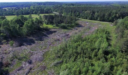 Photo of UNDER CONTRACT!  42 Acres of Residential and Recreational Land For Sale in Charlotte County VA!