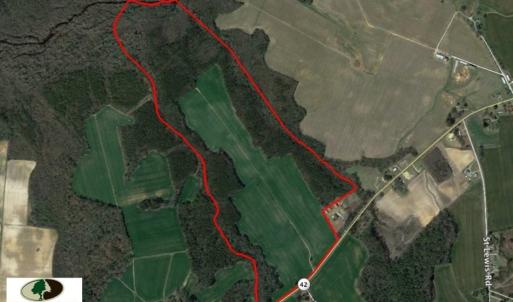 Photo of SOLD!  181 Acres of Farm and Timberland for Sale in Edgecombe County NC!