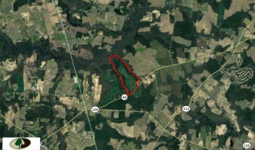 Photo of SOLD!  181 Acres of Farm and Timberland for Sale in Edgecombe County NC!