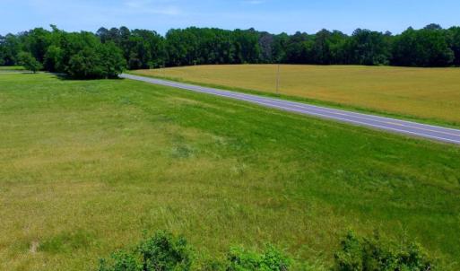 Photo of SOLD!  181 Acres of Farm and Timberland for Sale in Edgecombe County NC!