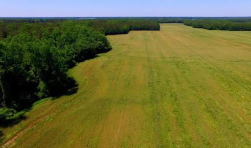 Photo of SOLD!  181 Acres of Farm and Timberland for Sale in Edgecombe County NC!