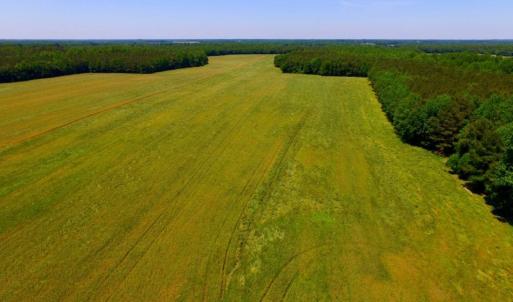 Photo of SOLD!  181 Acres of Farm and Timberland for Sale in Edgecombe County NC!