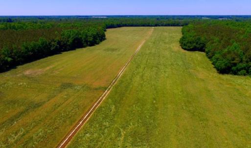Photo of SOLD!  181 Acres of Farm and Timberland for Sale in Edgecombe County NC!
