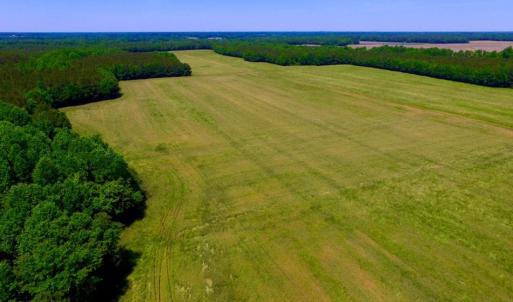 Photo of SOLD!  181 Acres of Farm and Timberland for Sale in Edgecombe County NC!