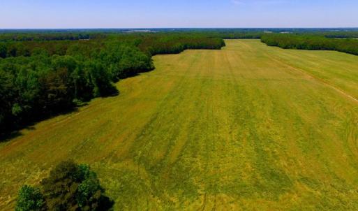 Photo of SOLD!  181 Acres of Farm and Timberland for Sale in Edgecombe County NC!
