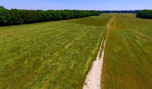 Photo of SOLD!  181 Acres of Farm and Timberland for Sale in Edgecombe County NC!