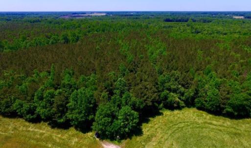 Photo of SOLD!  181 Acres of Farm and Timberland for Sale in Edgecombe County NC!