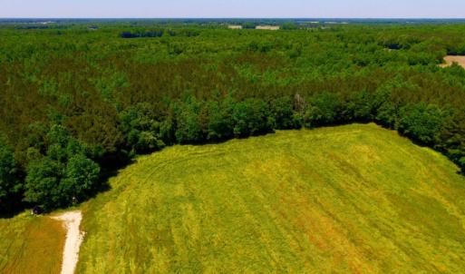 Photo of SOLD!  181 Acres of Farm and Timberland for Sale in Edgecombe County NC!