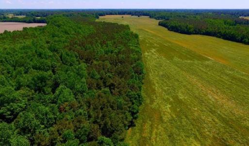 Photo of SOLD!  181 Acres of Farm and Timberland for Sale in Edgecombe County NC!