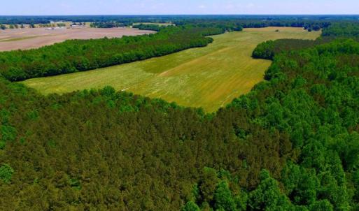 Photo of SOLD!  181 Acres of Farm and Timberland for Sale in Edgecombe County NC!