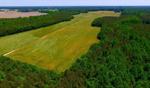 Photo of SOLD!  181 Acres of Farm and Timberland for Sale in Edgecombe County NC!
