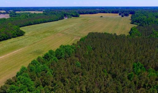 Photo of SOLD!  181 Acres of Farm and Timberland for Sale in Edgecombe County NC!