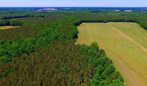 Photo of SOLD!  181 Acres of Farm and Timberland for Sale in Edgecombe County NC!