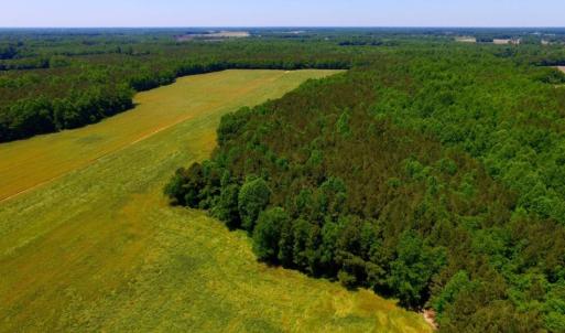 Photo of SOLD!  181 Acres of Farm and Timberland for Sale in Edgecombe County NC!