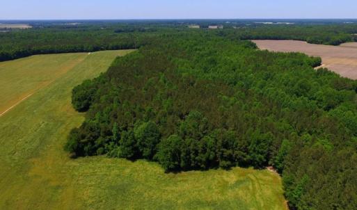 Photo of SOLD!  181 Acres of Farm and Timberland for Sale in Edgecombe County NC!