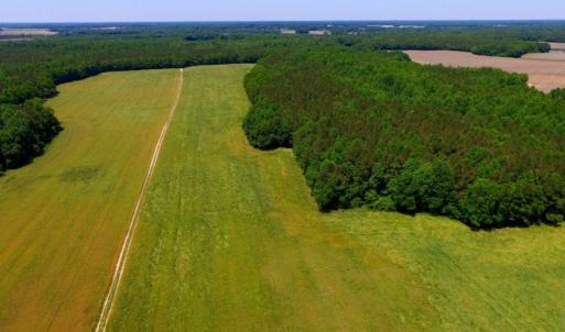 Photo of SOLD!  181 Acres of Farm and Timberland for Sale in Edgecombe County NC!