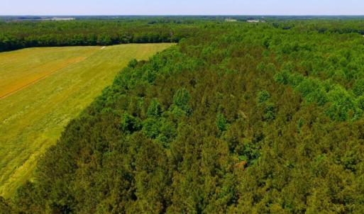 Photo of SOLD!  181 Acres of Farm and Timberland for Sale in Edgecombe County NC!