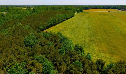 Photo of SOLD!  181 Acres of Farm and Timberland for Sale in Edgecombe County NC!