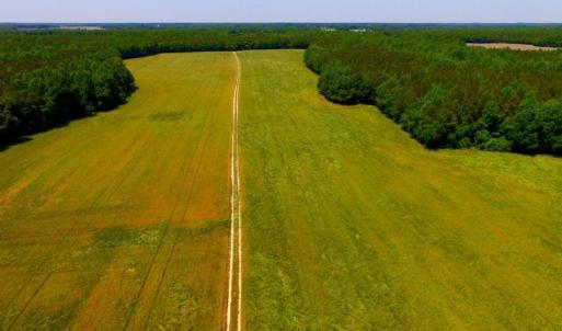 Photo of SOLD!  181 Acres of Farm and Timberland for Sale in Edgecombe County NC!