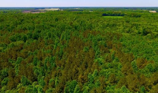 Photo of SOLD!  181 Acres of Farm and Timberland for Sale in Edgecombe County NC!