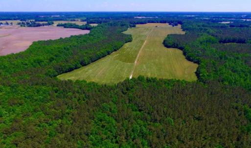 Photo of SOLD!  181 Acres of Farm and Timberland for Sale in Edgecombe County NC!