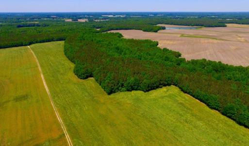 Photo of SOLD!  181 Acres of Farm and Timberland for Sale in Edgecombe County NC!