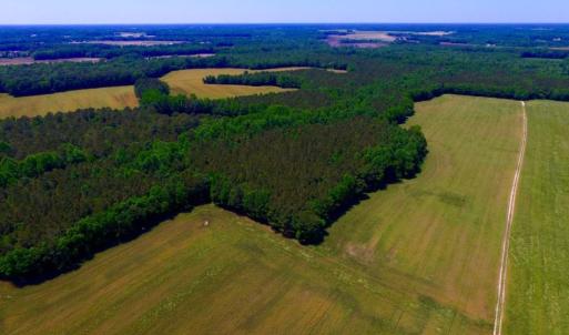 Photo of SOLD!  181 Acres of Farm and Timberland for Sale in Edgecombe County NC!