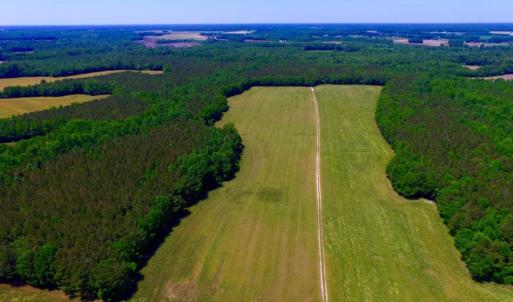 Photo of SOLD!  181 Acres of Farm and Timberland for Sale in Edgecombe County NC!