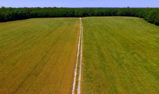 Photo of SOLD!  181 Acres of Farm and Timberland for Sale in Edgecombe County NC!