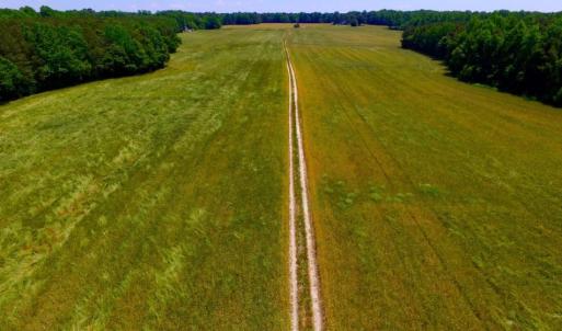 Photo of SOLD!  181 Acres of Farm and Timberland for Sale in Edgecombe County NC!