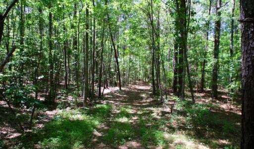 Photo of SOLD!  181 Acres of Farm and Timberland for Sale in Edgecombe County NC!