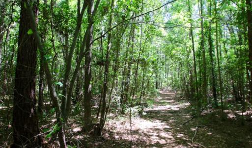 Photo of SOLD!  181 Acres of Farm and Timberland for Sale in Edgecombe County NC!