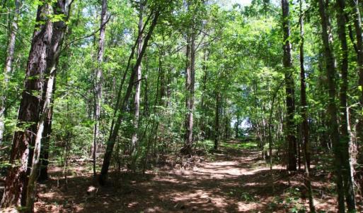 Photo of SOLD!  181 Acres of Farm and Timberland for Sale in Edgecombe County NC!