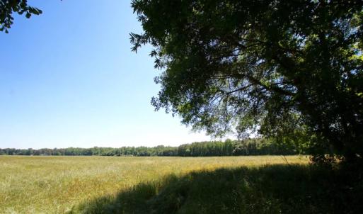 Photo of SOLD!  181 Acres of Farm and Timberland for Sale in Edgecombe County NC!