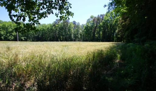 Photo of SOLD!  181 Acres of Farm and Timberland for Sale in Edgecombe County NC!