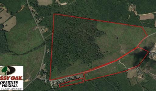 Photo of UNDER CONTRACT!  203 Acres of Hunting Land For Sale in Pittsylvania County VA!