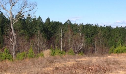 Photo of UNDER CONTRACT!  203 Acres of Hunting Land For Sale in Pittsylvania County VA!