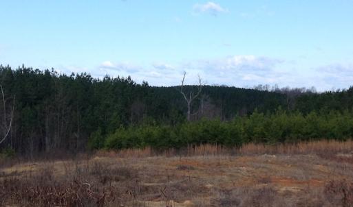 Photo of UNDER CONTRACT!  203 Acres of Hunting Land For Sale in Pittsylvania County VA!
