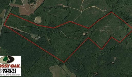 Photo of UNDER CONTRACT!  174 Acres of Hunting Land For Sale in Pittsylvania County VA!