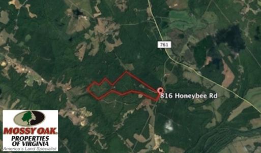 Photo of UNDER CONTRACT!  174 Acres of Hunting Land For Sale in Pittsylvania County VA!