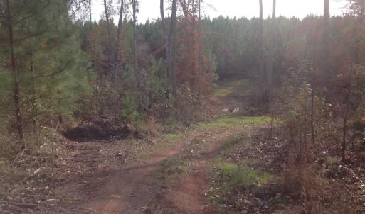 Photo of UNDER CONTRACT!  174 Acres of Hunting Land For Sale in Pittsylvania County VA!