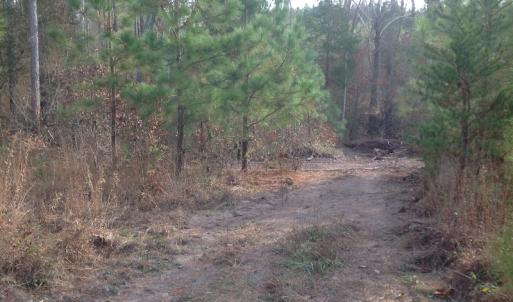 Photo of UNDER CONTRACT!  174 Acres of Hunting Land For Sale in Pittsylvania County VA!