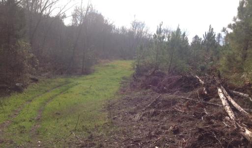 Photo of UNDER CONTRACT!  174 Acres of Hunting Land For Sale in Pittsylvania County VA!