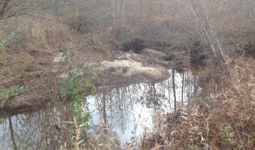Photo of UNDER CONTRACT!  174 Acres of Hunting Land For Sale in Pittsylvania County VA!