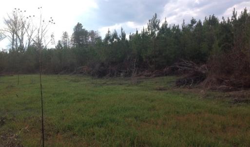 Photo of UNDER CONTRACT!  174 Acres of Hunting Land For Sale in Pittsylvania County VA!