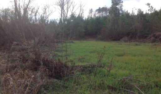 Photo of UNDER CONTRACT!  174 Acres of Hunting Land For Sale in Pittsylvania County VA!